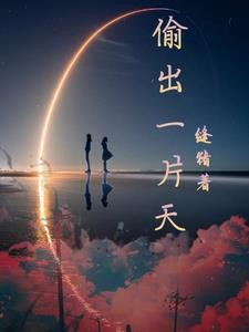 偷出一片天封面