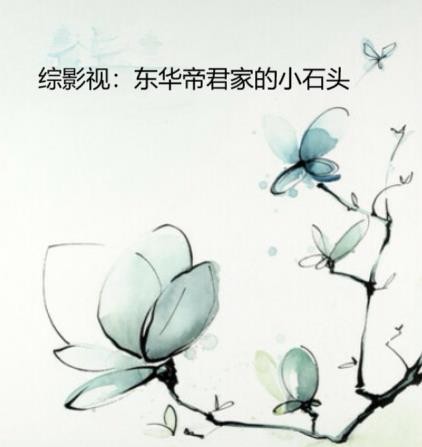综影视:东华帝君家的小石头封面