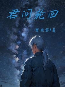 君问轮回封面