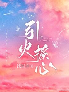引火撩心封面