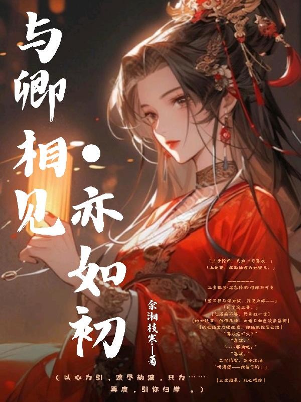 与卿相见亦如初封面