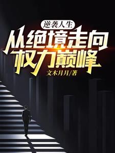 逆袭人生,从绝境走向权力巅峰封面