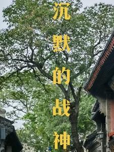 沉默的战神封面