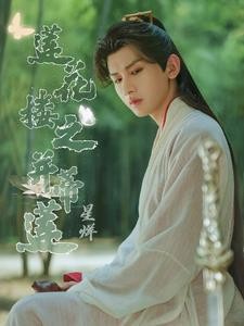 莲花楼之并蒂莲封面