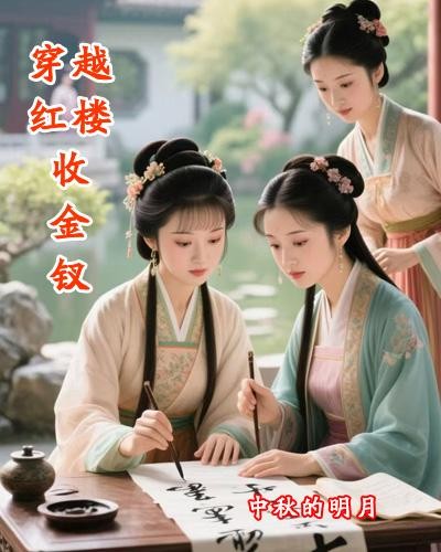 穿越红楼收金钗封面