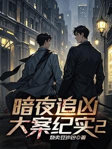 暗夜微光【刑侦】封面