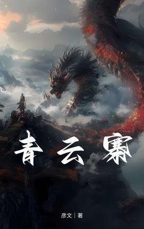 青云寨封面