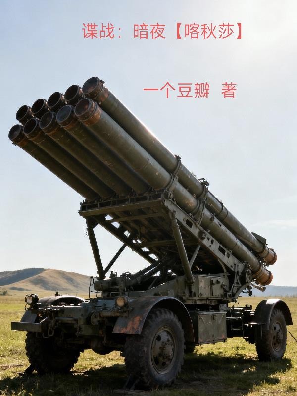 谍战:暗夜封面
