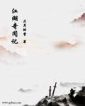 江湖奇闻记封面