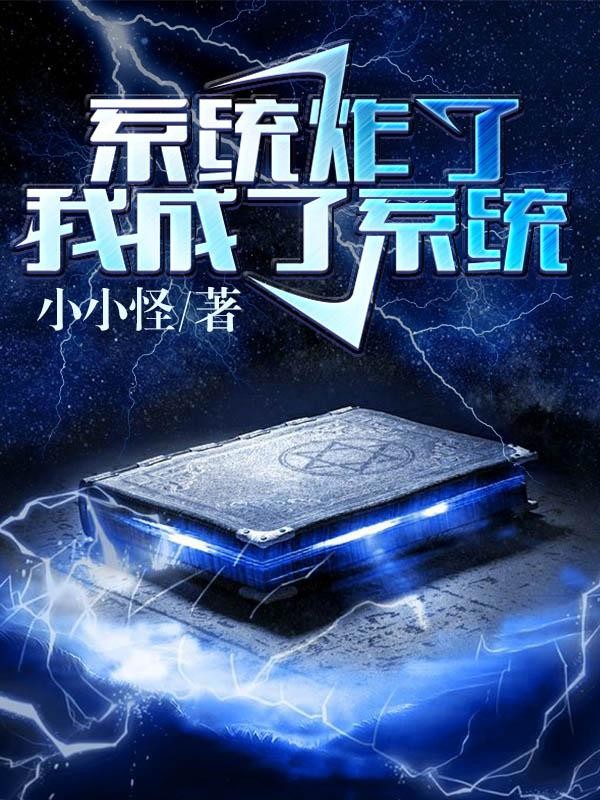 系统炸了,我成了系统封面