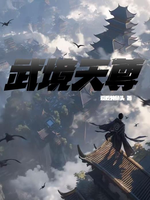 武境天尊封面