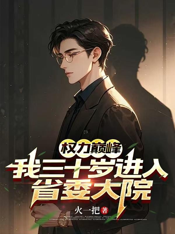 权力巅峰:我三十岁进入省委大院封面