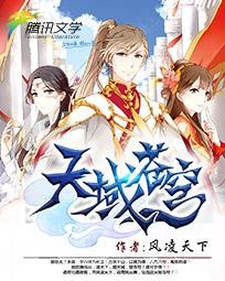 天域苍穹封面