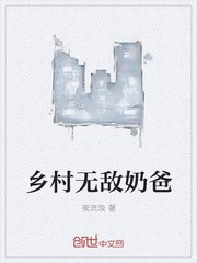 乡村无敌奶爸封面