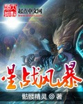 星战风暴封面