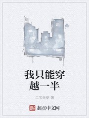 我只能穿越一半封面