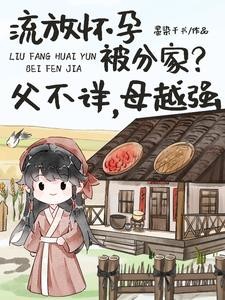 流放怀孕父不详,边关深山盖大房封面