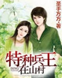 特种兵王在山村封面