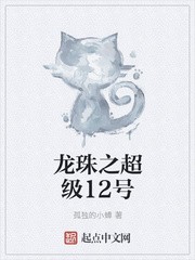 龙珠之超级12号封面