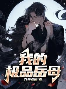 我的极品岳母封面