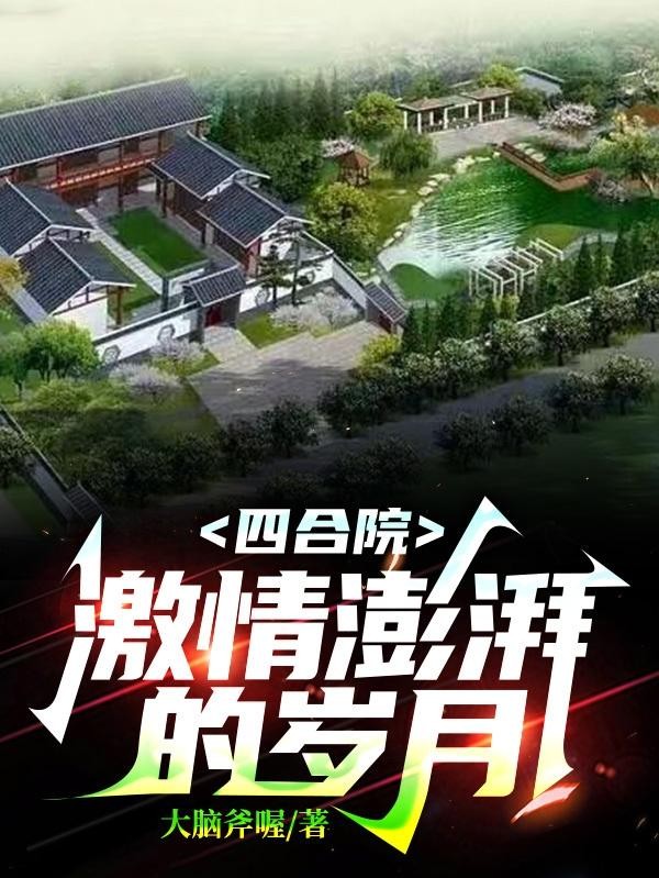 四合院:激情澎湃的岁月封面