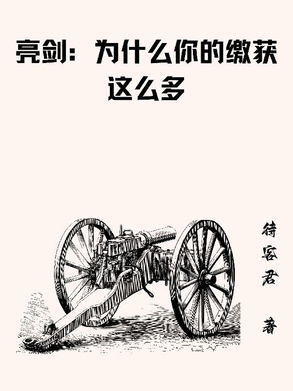 亮剑：为什么你的缴获这么多封面