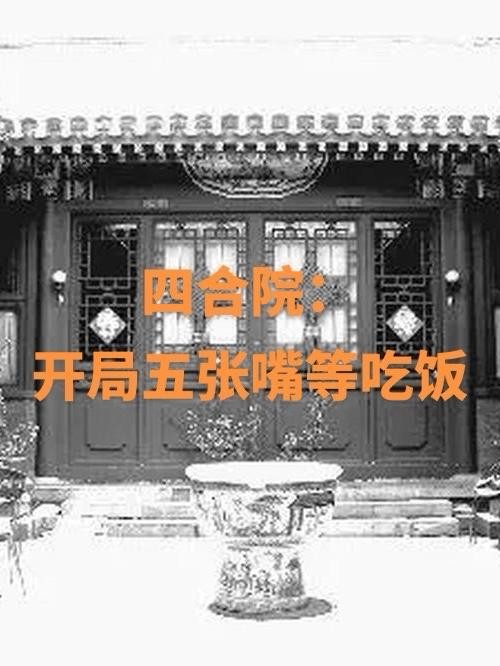 四合院:开局五张嘴等吃饭封面