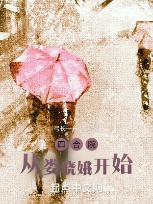 四合院:从娄晓娥开始封面
