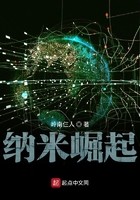 纳米崛起封面