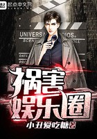 祸害娱乐圈封面