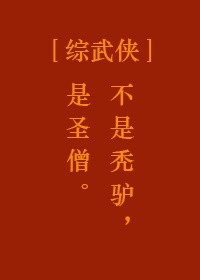 [综武侠]圣僧封面