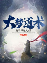 大梦道术封面