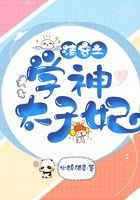 清穿之学神太子妃封面