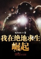 我在绝地求生崛起封面