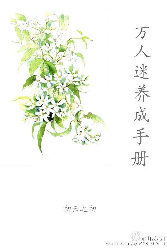 万人迷养成手册(系统)封面