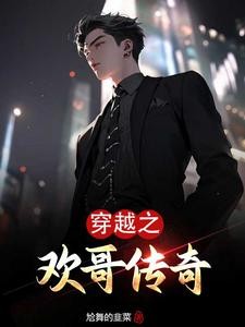穿越之欢哥传奇封面