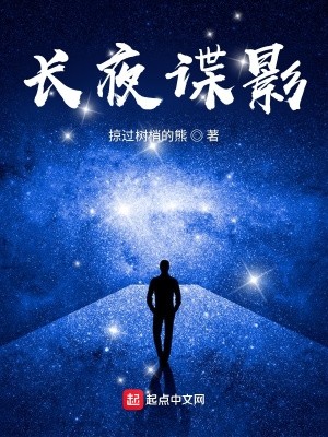 长夜谍影封面