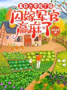 重回六零抢个婚,闪嫁军官赢麻了封面