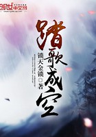 踏歌成空封面