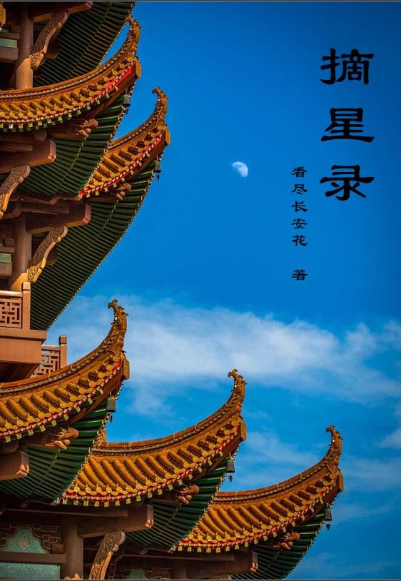 摘星往事封面