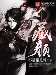 藏颜封面