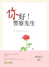 你好!警察先生封面