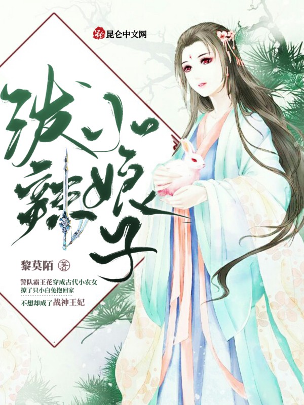 泼辣小娘子封面