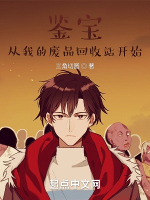 鉴宝,从我的废品回收站开始封面