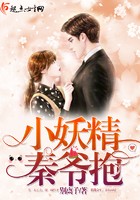 小妖精,秦爷抱封面