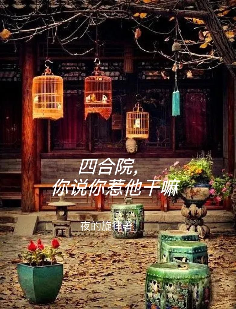 四合院,你说你惹他干嘛封面