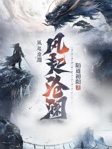 风起沧澜封面