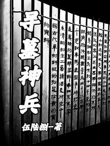 寻墓神兵封面