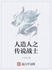 人造人之传说战士封面