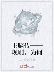 主脑传——规则,为何封面